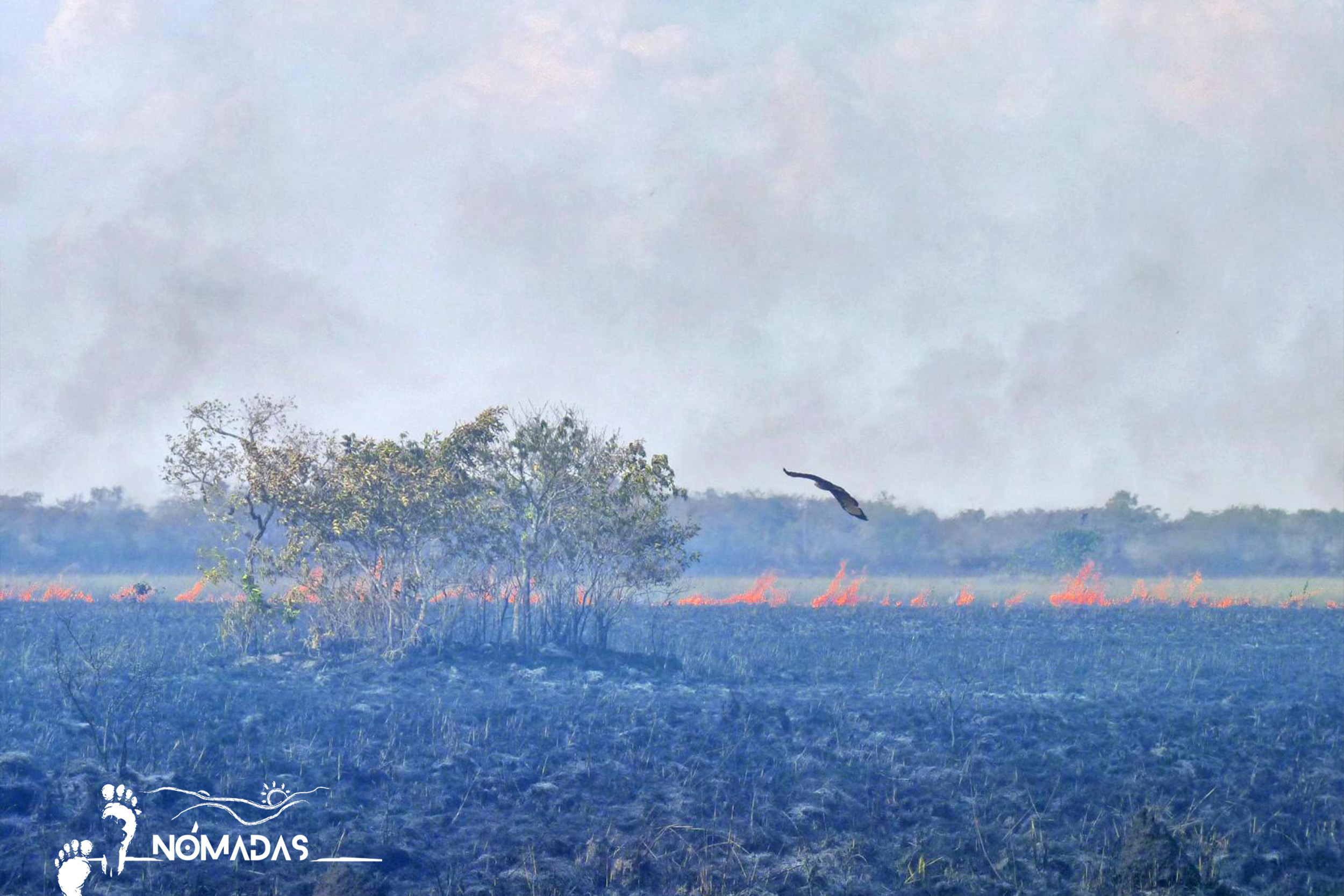 La cadena de efectos causada por la deforestación y el fuego en la Amazonía ha entrado en actividad: los suelos se secan, las recargas de agua de las nubes se ven afectadas. En los últimos 30 años la temperatura aumentó en promedio un grado centígrado. Ese uno por ciento que parece un grano de arena, no lo es. Es una montaña enorme de problemas.