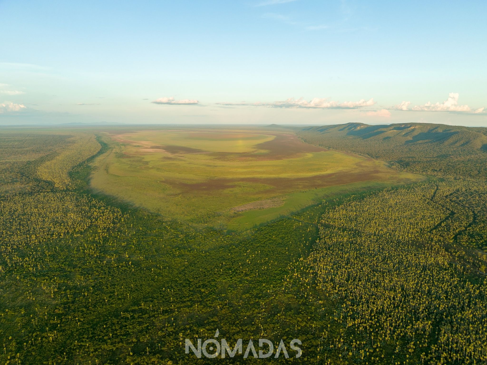 El gran humedal boliviano se ha convertido en un panteón de tierra seca. De nada le ha valido ser un área protegida y sitio RAMSAR de interés mundial. ¿Cómo es posible que más de 5.000 hectáreas de espejo de agua y su ecosistema, —vitales para el planeta— desaparezcan de la faz de la tierra, sin que nadie lo pueda evitar?