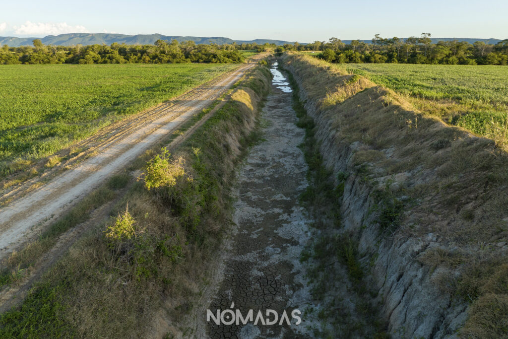 El canal de drenaje evita que los cultivos se inunden en tiempos de lluvia, pero, especialistas advierten que quien paga las consecuencias es la vegetación cercana a la laguna.