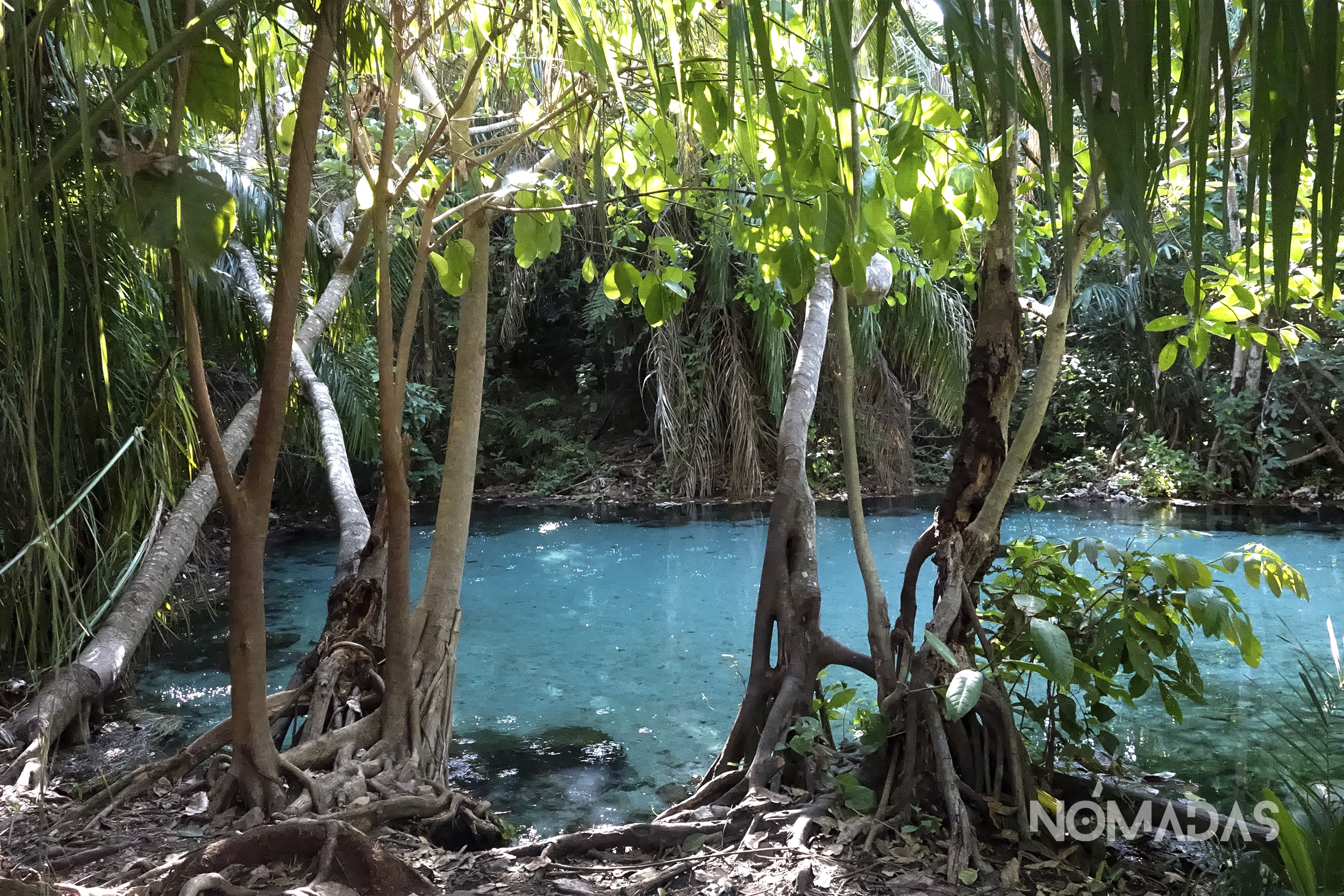 Parece un escenario sacado de esos cuentos que nos arrullaban en la niñez. Las aguas cristalinísimas del manantial están ocultas en un rincón de Santa Cruz, agazapadas y silenciosas, como si se estuviera ocultando de las manos dañinas de la humanidad.