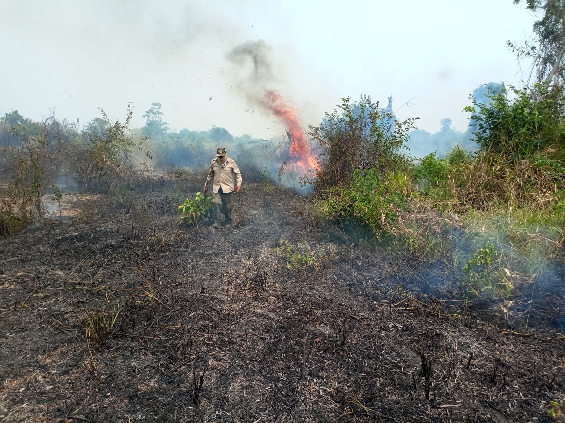 El fuego golpea al Patrimonio de la Humanidad, que cada día que pasa pierde una riqueza natural enorme.