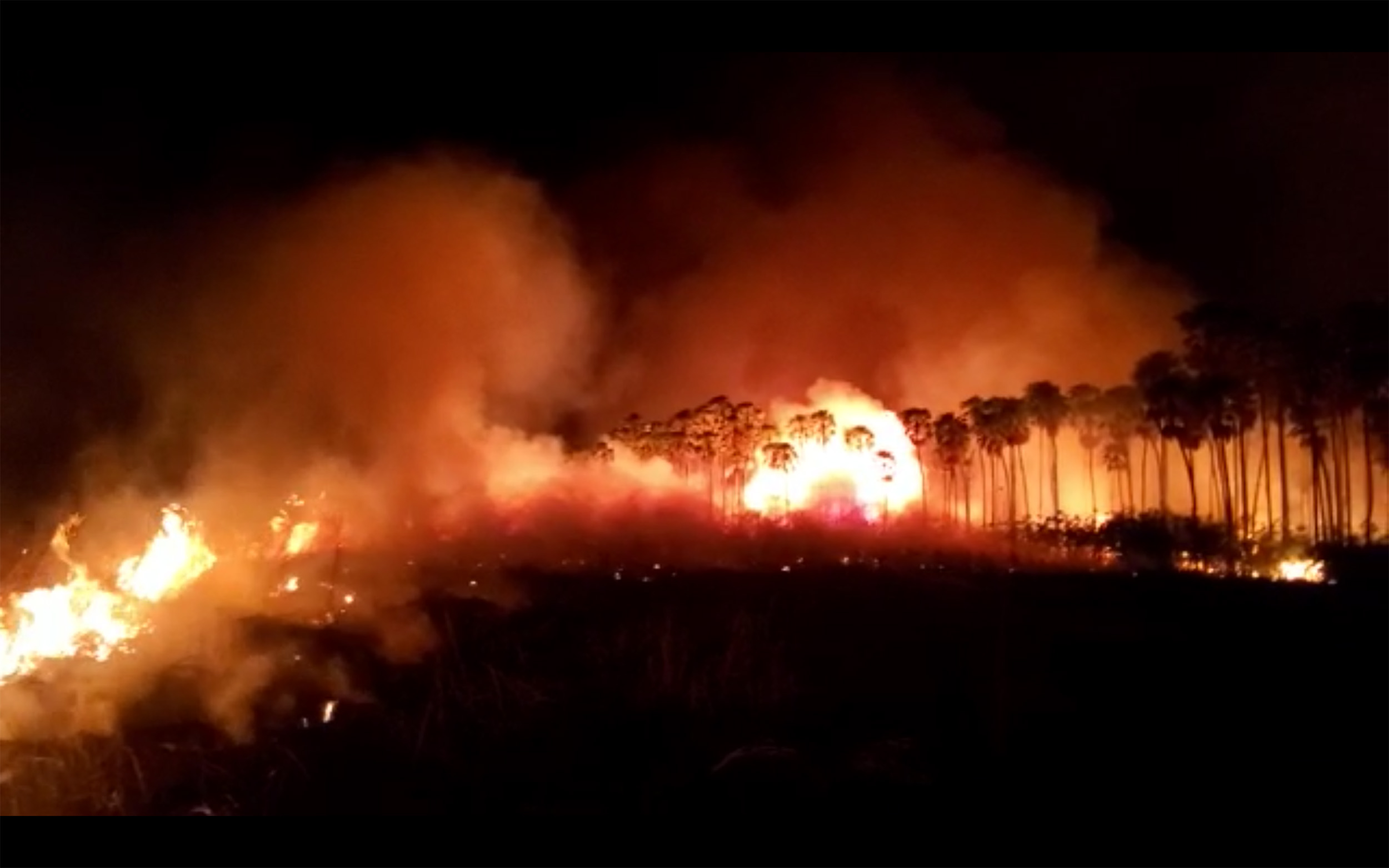 Así lo asegura Edgar Juan Perelló, bombero forestal profesional en el dispositivo de emergencias de la Generalitat Valenciana, de España. Alas Chiquitanas empezó una campaña para apoyar a los bomberos voluntarios. El Observatorio del Bosque Seco Chiquitano registró a 15 áreas protegidas que presentan focos activos de fuego.