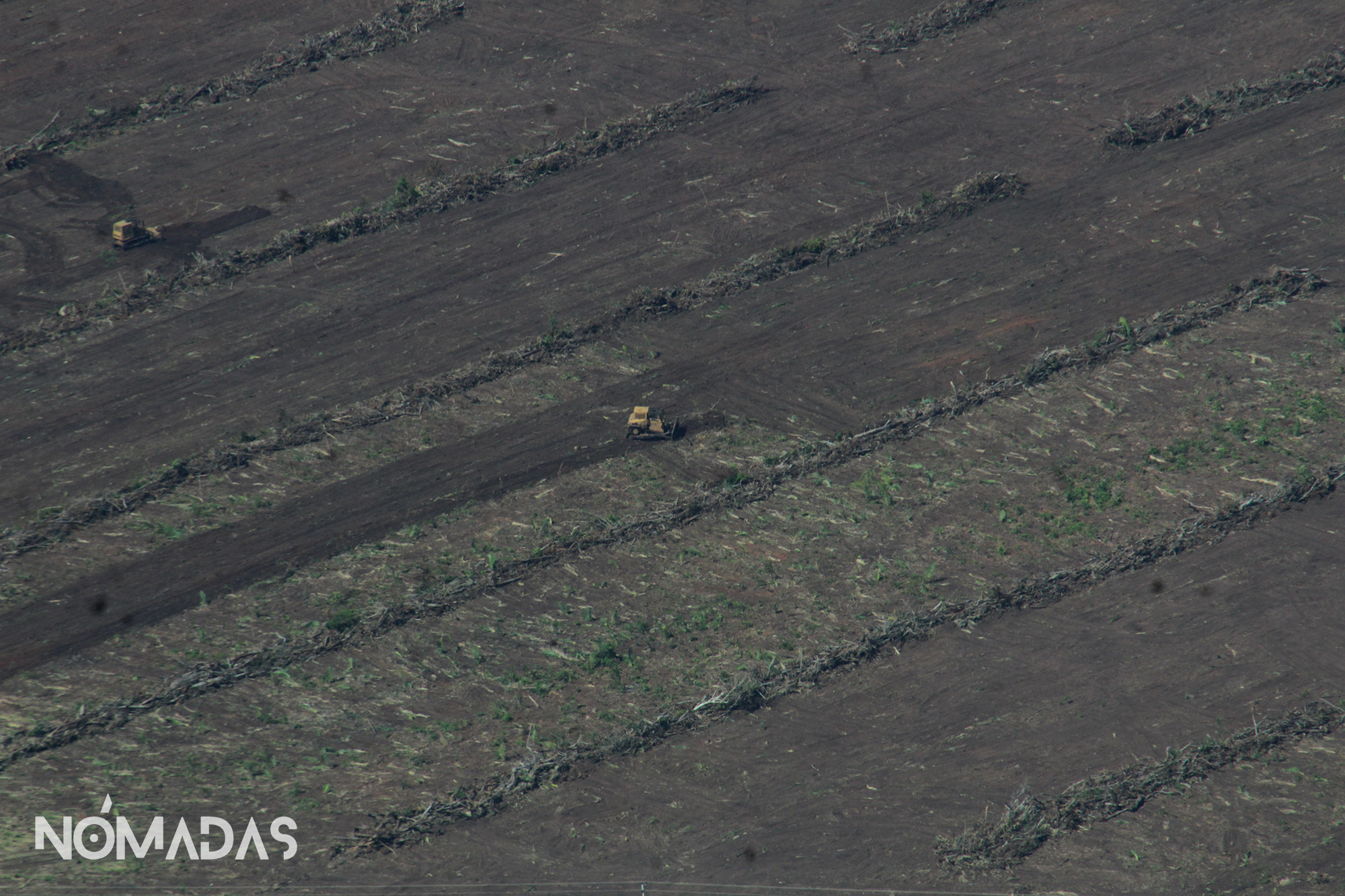 Los datos más recientes de MapBiomas Amazonía refuerzan la necesidad de una acción internacional integrada para revertir la actual tendencia de destrucción que, de persistir, llevará al bioma más allá de su punto de no retorno a finales de esta década.