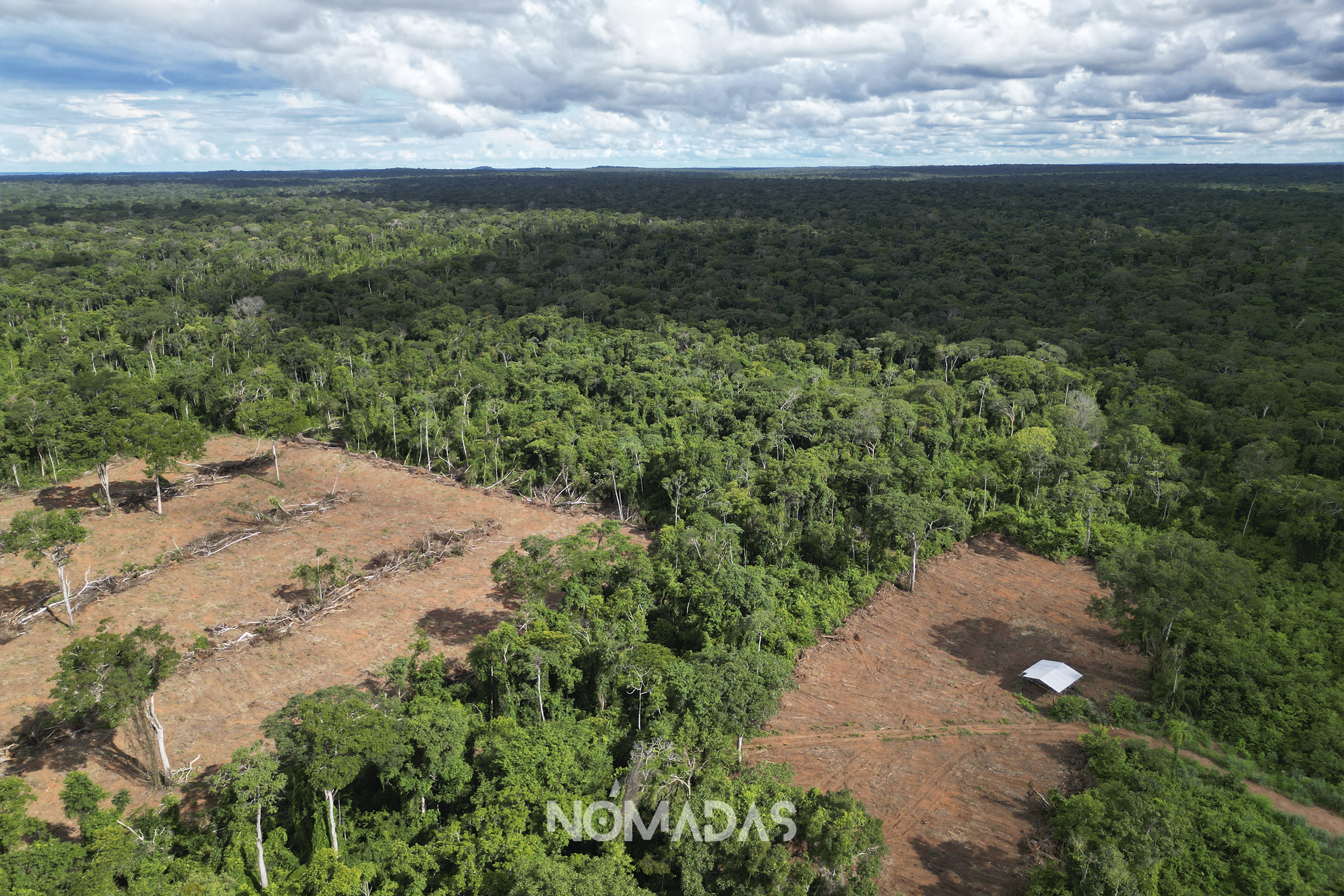 Los que aman el medioambiente y están decididos a defenderlo, unen sus fuerzas para poner fin a los avasallamientos dentro del área protegida. El alcalde de San Ignacio, aún no responde al plazo que le dieron los Cabildos Indígenas.