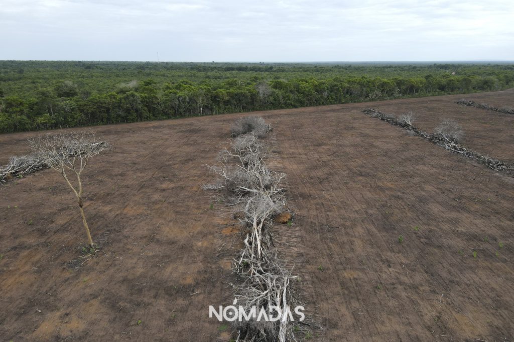 El reciente informe presentado por Global Forest Watch del Instituto de Recursos Mundiales, revela que el 2022 fue testigo de una pérdida implacable de bosques primarios tropicales en todo el mundo. Bolivia perdió 386.000 hectáreas de bosque primario el año pasado, un aumento de 32% en comparación al 2021. Revista Nómadas les presenta un mapa interactivo donde se puede ver cómo la humanidad va aniquilando sus árboles.