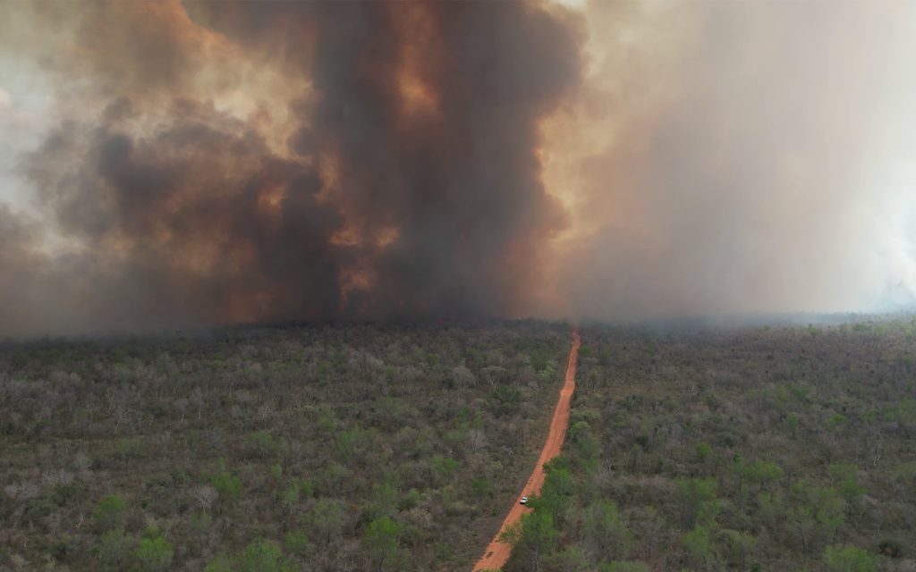 Más de 100 personas trabajan incansablemente para aplacar el fuego en la primera área protegida indígena en Bolivia, el Área de Conservación e Importancia Ecológica Ñembi Guasu, y prevenir un desastre mayor. Se hace un llamado a la ciudadanía para apoyar con donaciones.