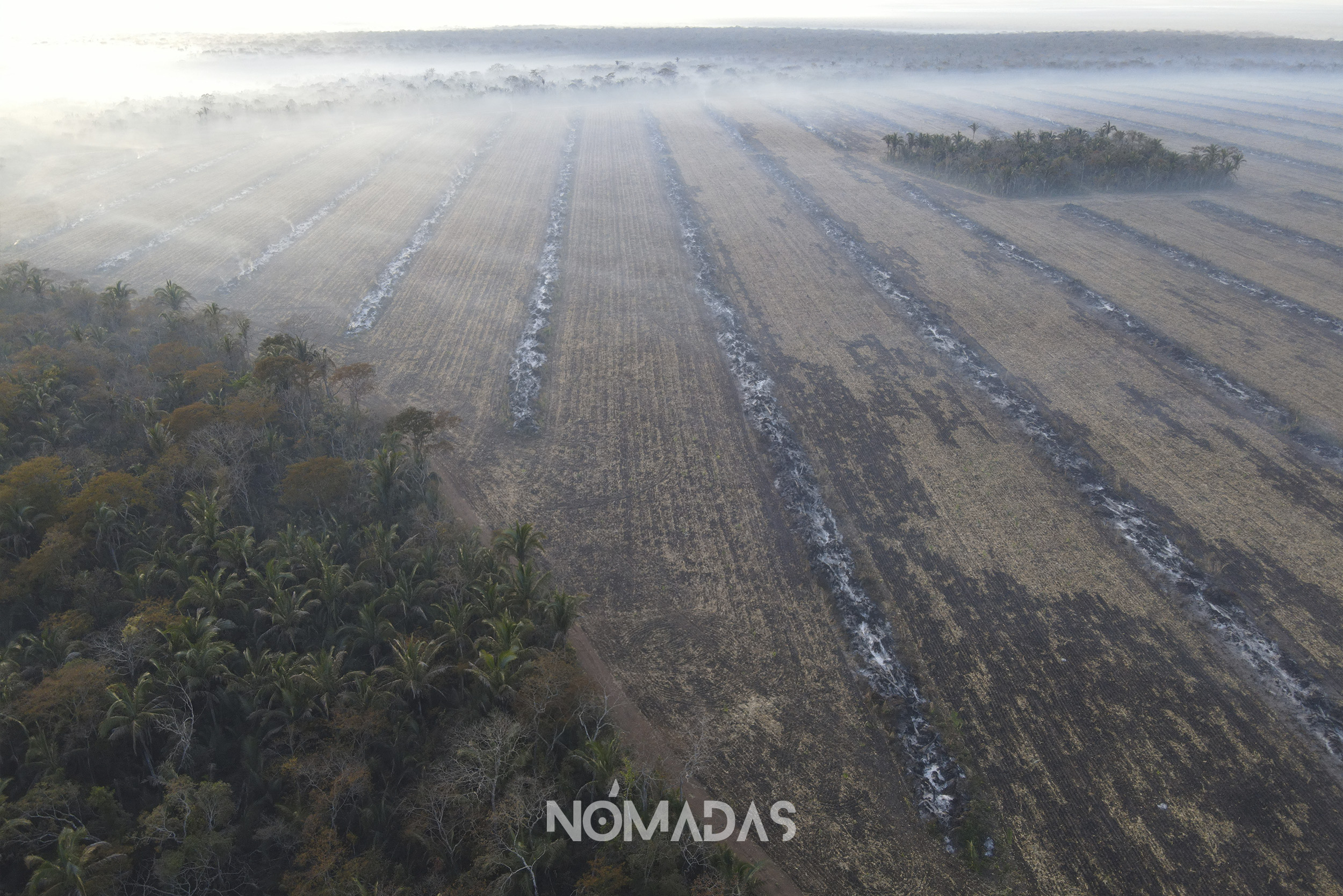 Revista N madas The Temperature in Santa Cruz increases 83 more
