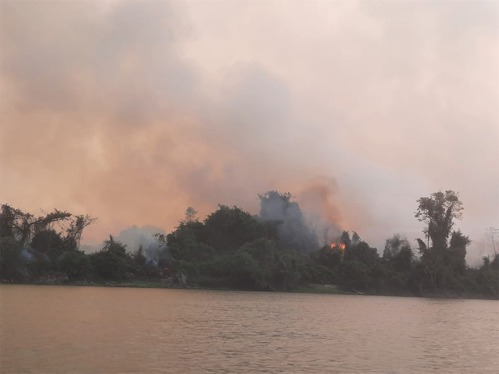 El vinculo entre el medio ambiente, los derechos humanos y la salud siempre ha sido una de mi mayores preocupaciones y ha generado intensos debates entre mis colegas periodistas. Las quemas, los incendios y el humo desencadenan enfermedades como las patologías pulmonares obstructivas crónicas, especialmente en niños y ancianos.